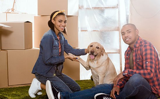 Pet Relocation Services ahmedabad
