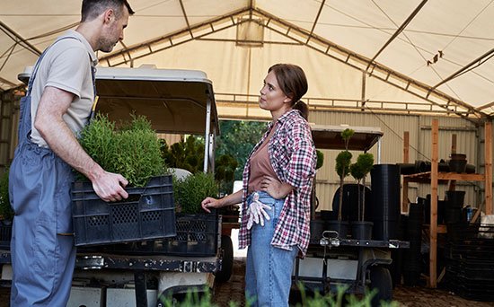 Plant Relocation Services ahmedabad